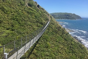 paekakariki escarpment track